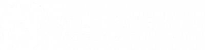 NetVisits Digital Marketing Agency